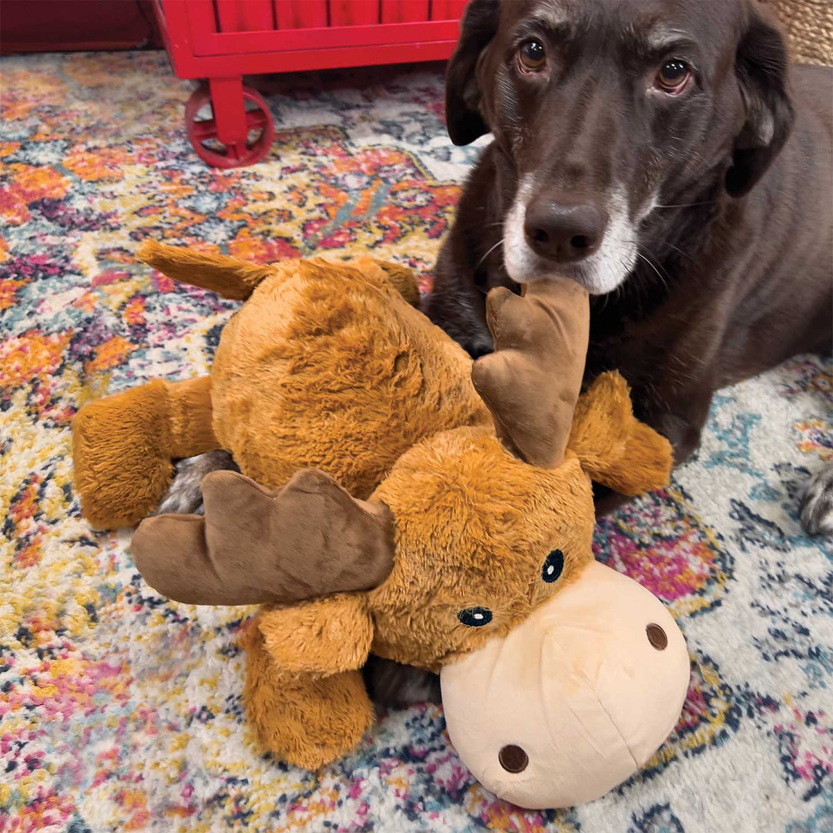KONG Cozie Jumbo Marvin Moose Dog Toy, XL - FurrowpetstoreToysJeffers