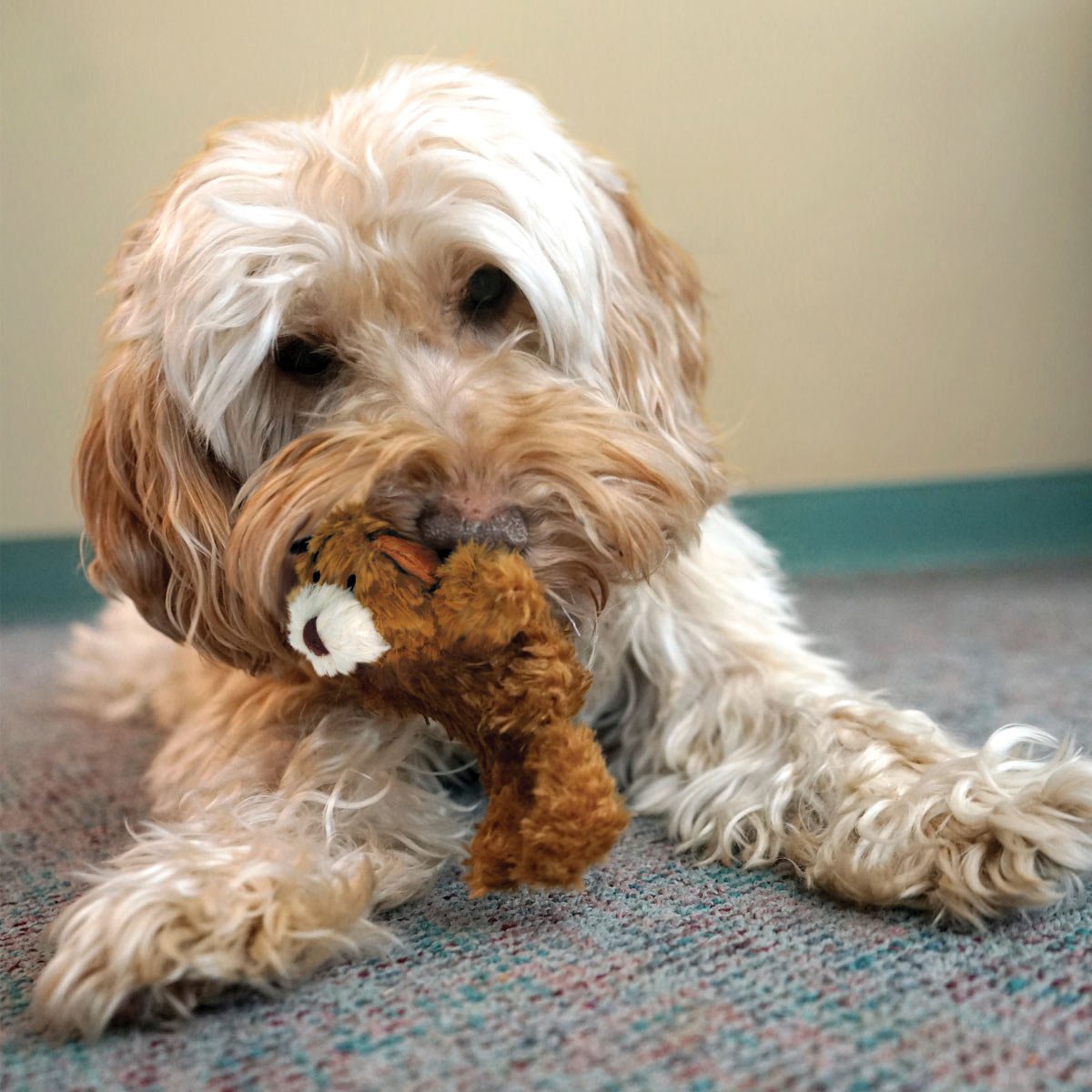 KONG Dr. Noyz Plush Dog Toys, X-Small