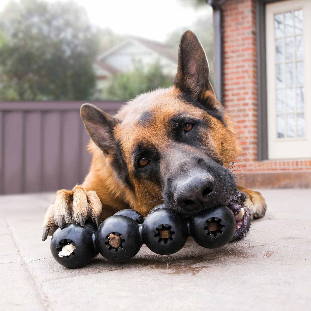 KONG Extreme Goodie Ribbon Dog Chew Toy, Large