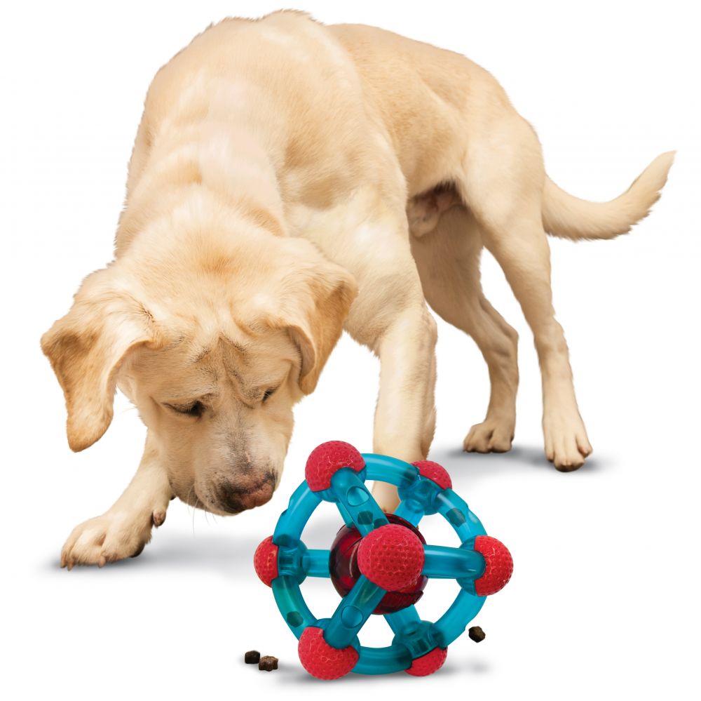 KONG Rewards Tinker Treat Dispensing Dog Toy - FurrowpetstoreToysJeffers