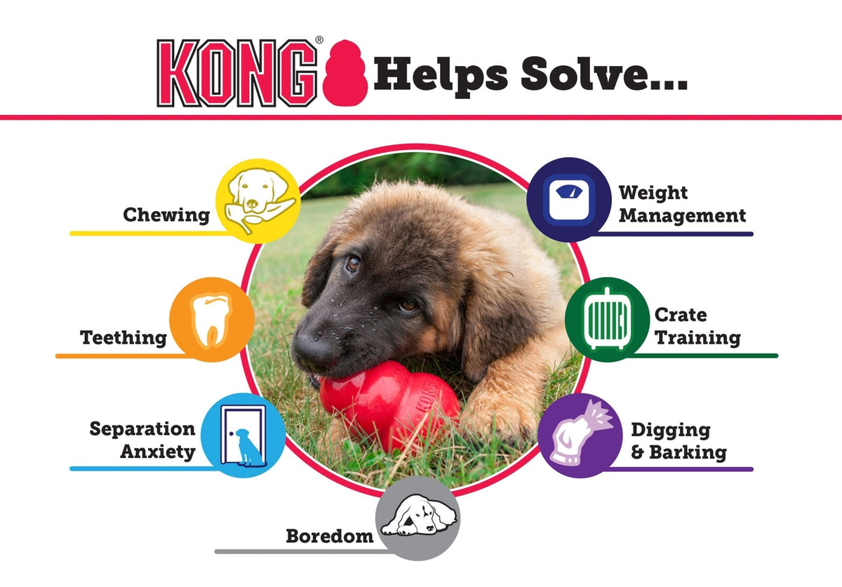 Puppy KONG Stuffable Rubber Chew Toy - FurrowpetstoreToysJeffers
