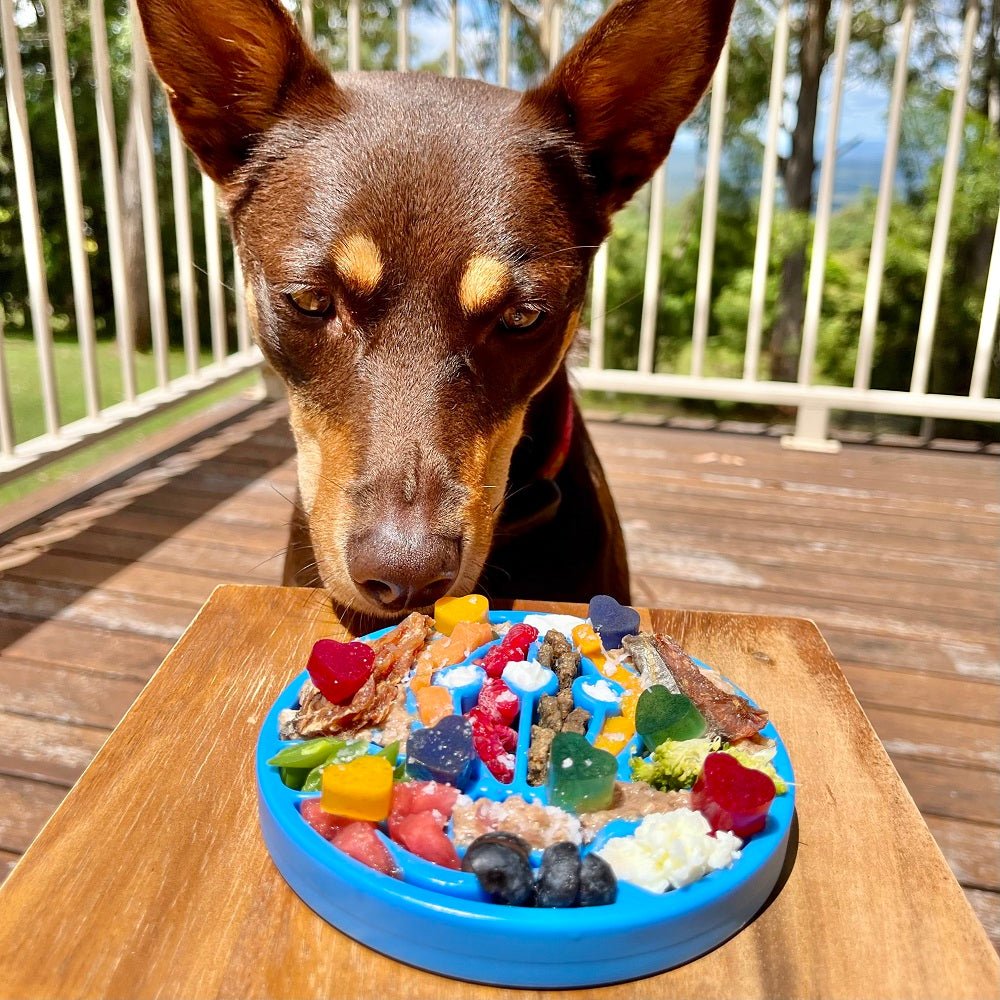 SodaPup Air eCoin Nylon Lick Disc - FurrowpetstoreBowls, Feeding & EnrichmentSodaPup/True Dogs, LLC