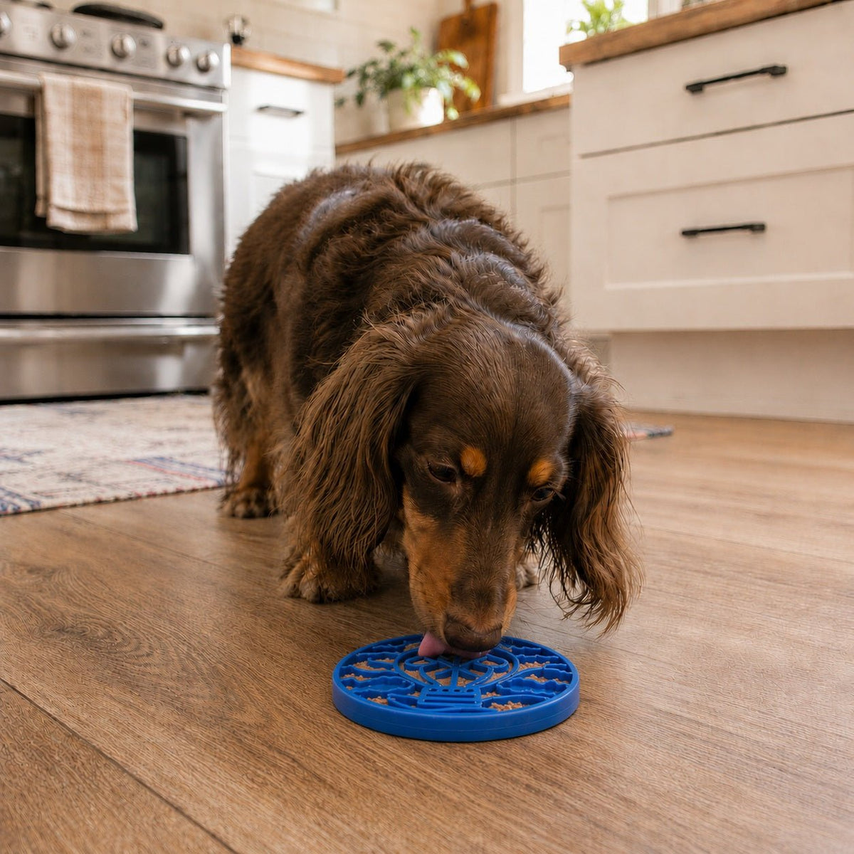 SodaPup Air eCoin Nylon Lick Disc - FurrowpetstoreBowls, Feeding & EnrichmentSodaPup/True Dogs, LLC