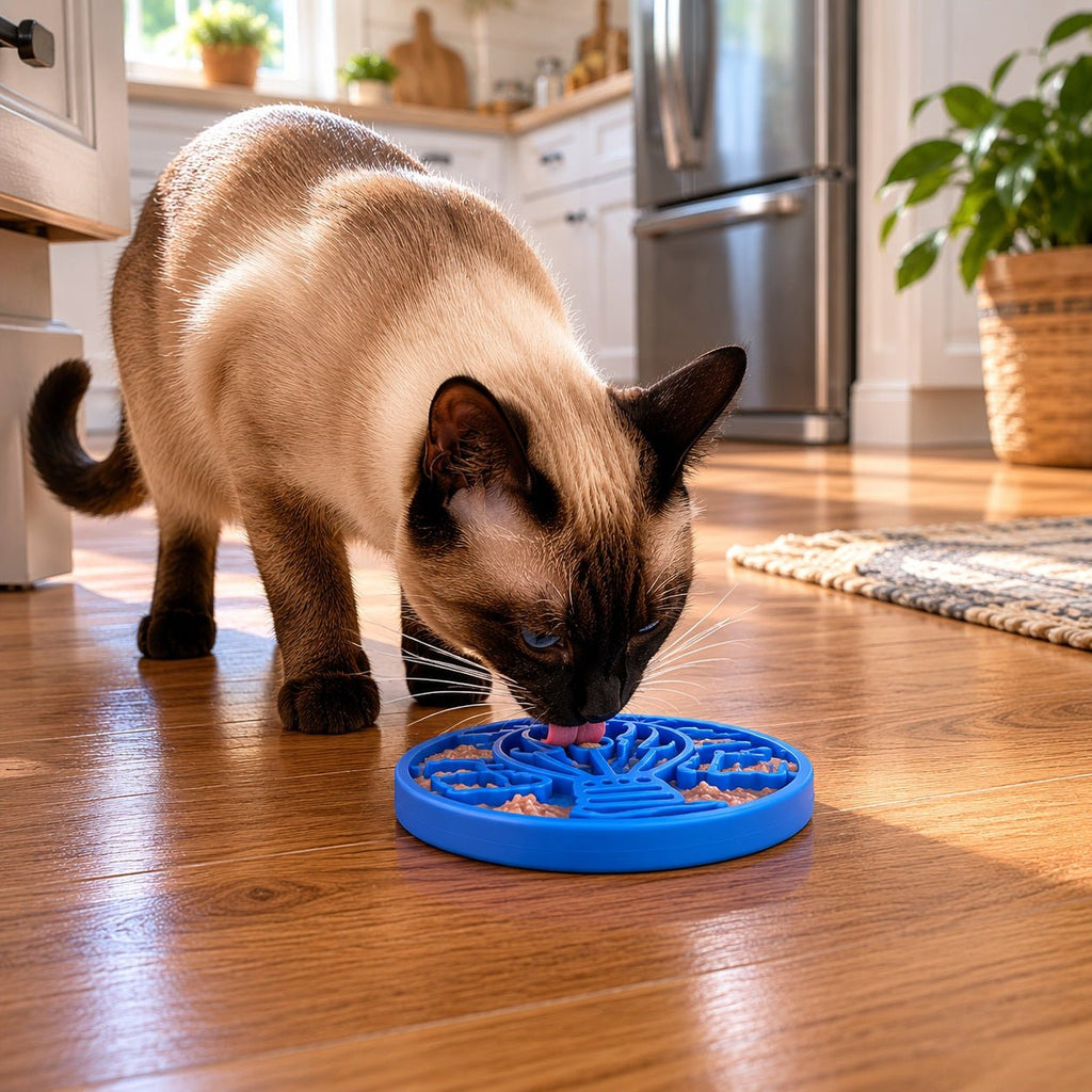 SodaPup Air eCoin Nylon Lick Disc - FurrowpetstoreBowls, Feeding & EnrichmentSodaPup/True Dogs, LLC