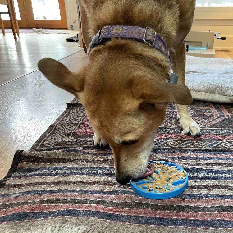 SodaPup Air eCoin Nylon Lick Disc - FurrowpetstoreBowls, Feeding & EnrichmentSodaPup/True Dogs, LLC