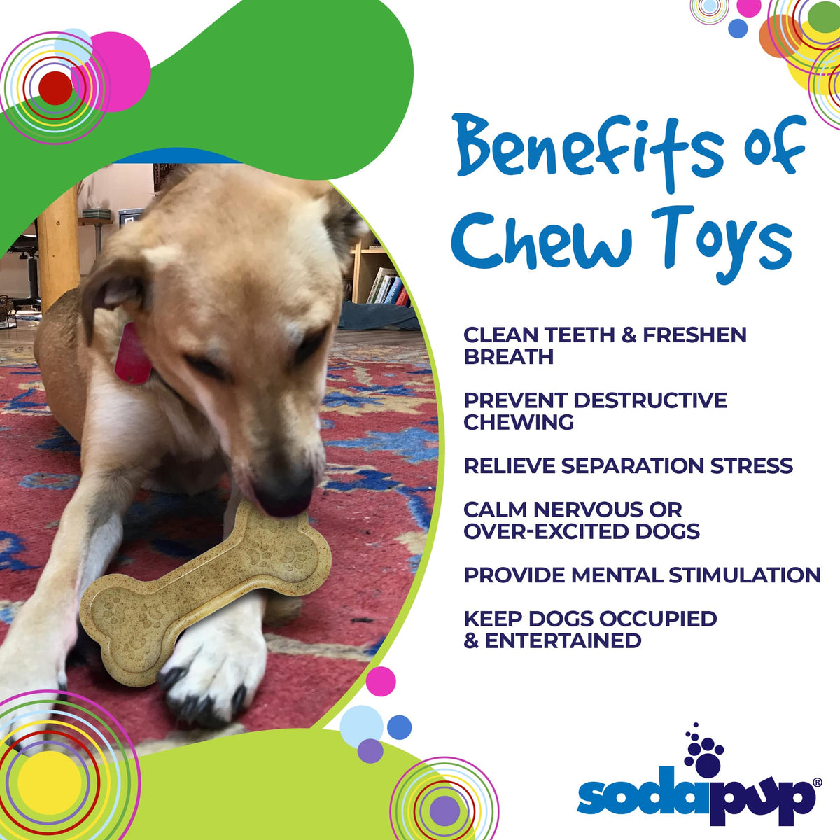 SodaPup Bone eChew Nylon Chew Toy - FurrowpetstoreToysSodaPup/True Dogs, LLC