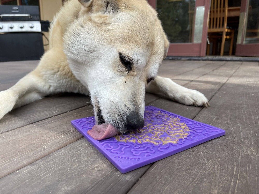 SodaPup Bones eMat Lick Mat for Dogs & Cats - FurrowpetstoreBowls, Feeding & EnrichmentSodaPup/True Dogs, LLC