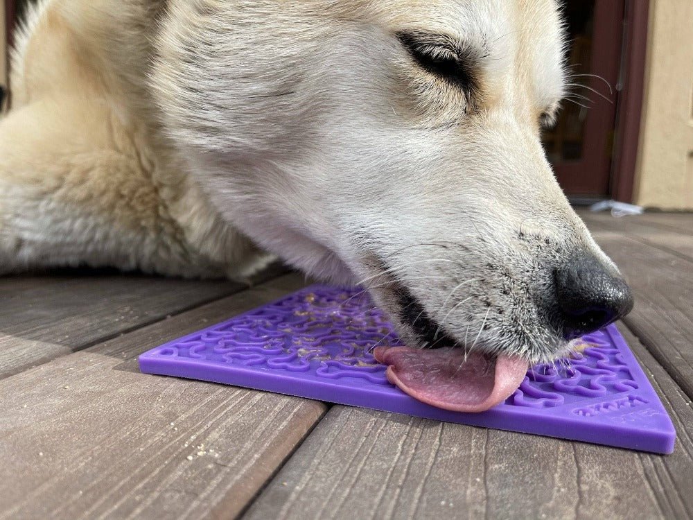 SodaPup Bones eMat Lick Mat for Dogs & Cats - FurrowpetstoreBowls, Feeding & EnrichmentSodaPup/True Dogs, LLC