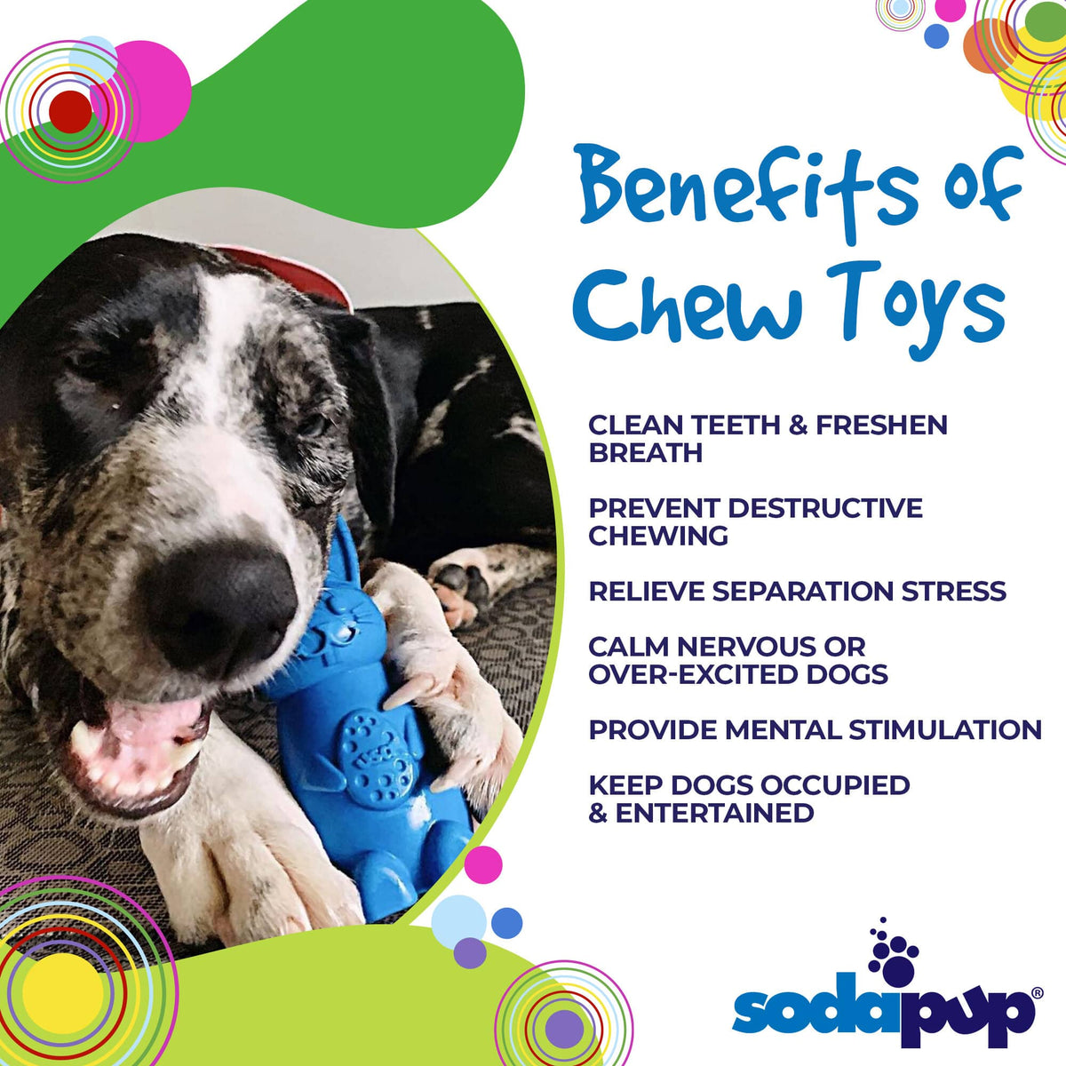 SodaPup Bunny Hollow Nylon Chew Toy - FurrowpetstoreToysSodaPup/True Dogs, LLC