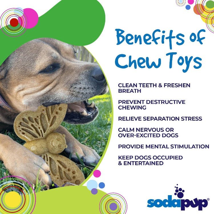 SodaPup Butterfly Nylon Chew & Lick Toy - FurrowpetstoreToysSodaPup/True Dogs, LLC