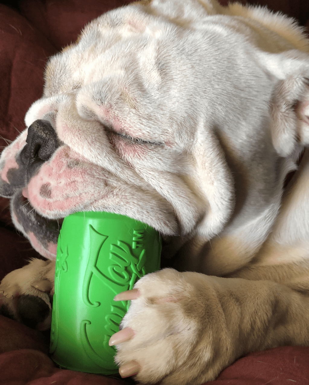 SodaPup Can Toy Rubber Chew Toy and Treat Dispenser - FurrowpetstoreBowls, Feeding & EnrichmentSodaPup/True Dogs, LLC