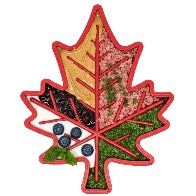 SodaPup maple leaf nylon lick and chew toy