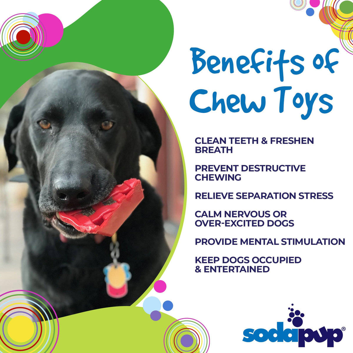 SodaPup Cherry Pie Nylon Chew Toy - FurrowpetstoreToysSodaPup/True Dogs, LLC
