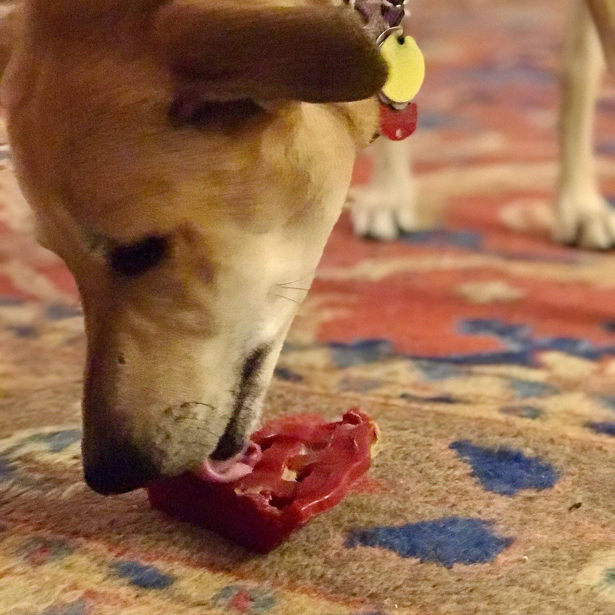 SodaPup Cherry Pie Nylon Chew Toy - FurrowpetstoreToysSodaPup/True Dogs, LLC