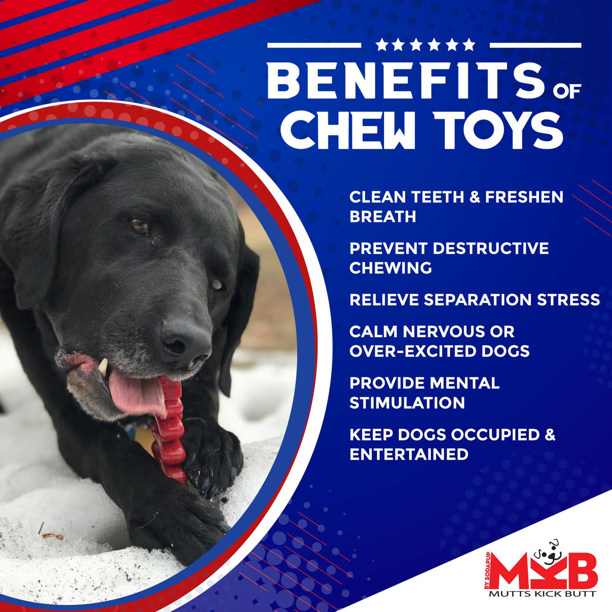 SodaPup Christmas Tree Nylon Chew Toy - FurrowpetstoreToysSodaPup/True Dogs, LLC