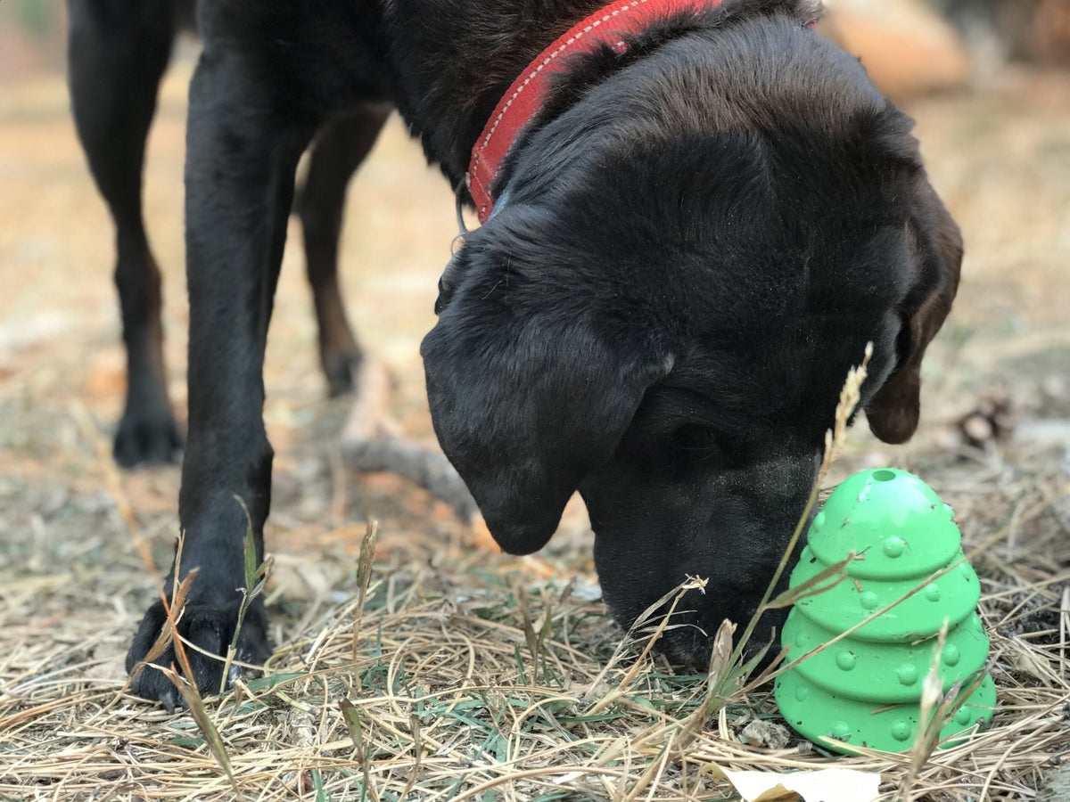 SodaPup Christmas Tree Rubber Treat Dispenser - FurrowpetstoreBowls, Feeding & EnrichmentSodaPup/True Dogs, LLC