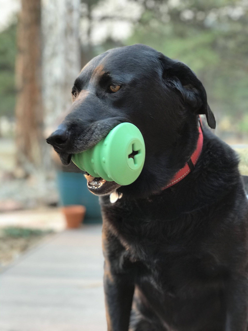 SodaPup Christmas Tree Rubber Treat Dispenser - FurrowpetstoreBowls, Feeding & EnrichmentSodaPup/True Dogs, LLC