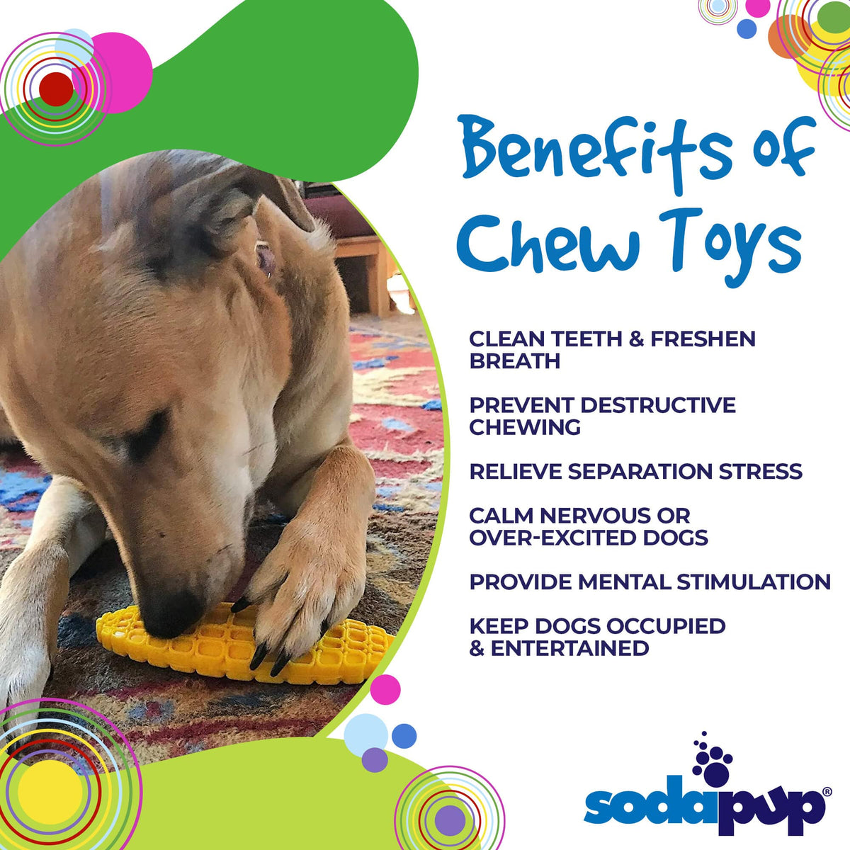 SodaPup Corn on the Cob Nylon Chew Toy - FurrowpetstoreToysSodaPup/True Dogs, LLC