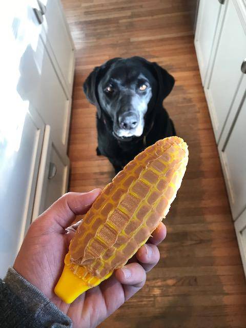 SodaPup Corn on the Cob Nylon Chew Toy - FurrowpetstoreToysSodaPup/True Dogs, LLC