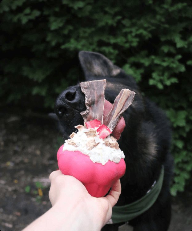 SodaPup Cupcake eDispenser Treat Toy - FurrowpetstoreBowls, Feeding & EnrichmentSodaPup/True Dogs, LLC
