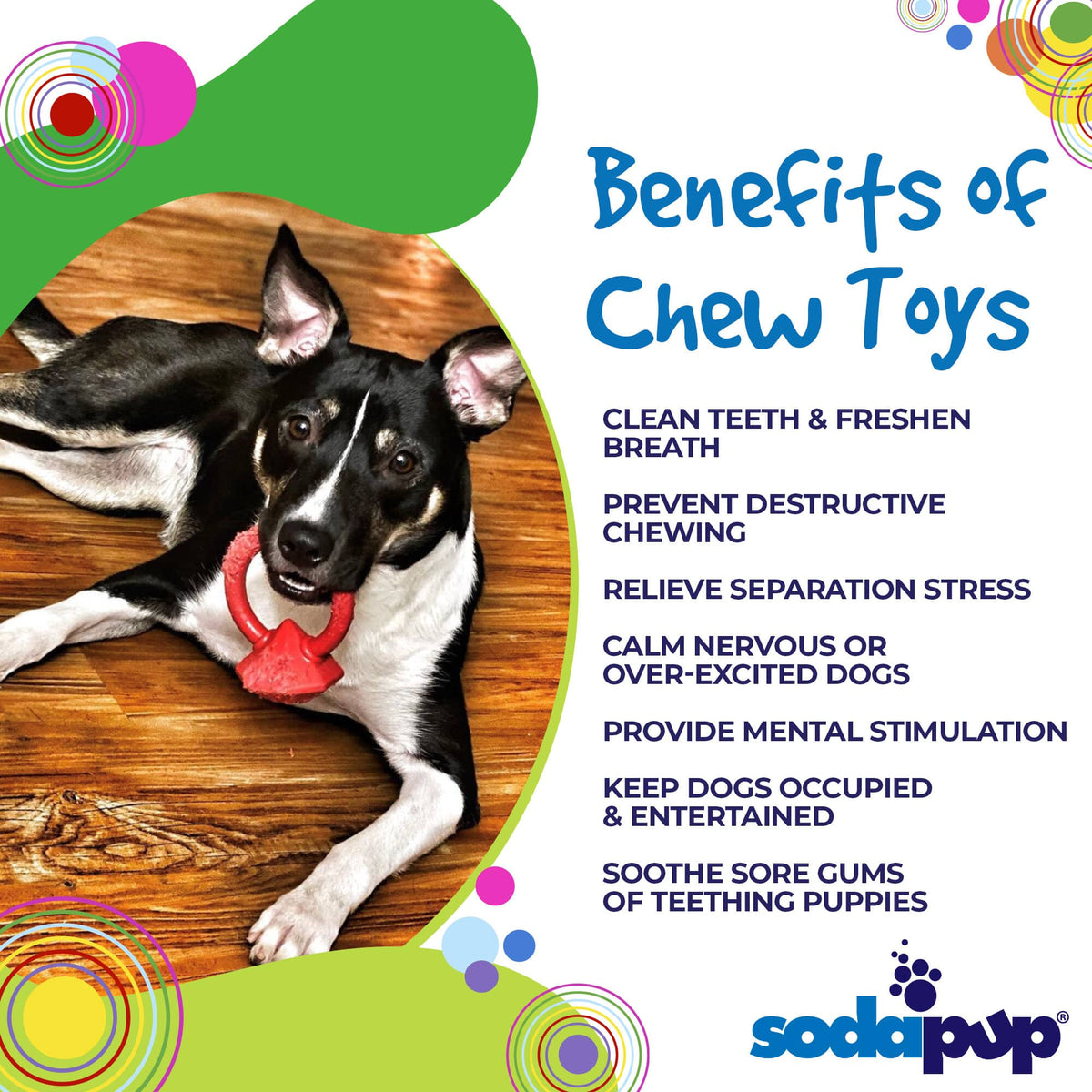SodaPup Diamond Ring Nylon Puppy Teething Ring - FurrowpetstoreToysSodaPup/True Dogs, LLC