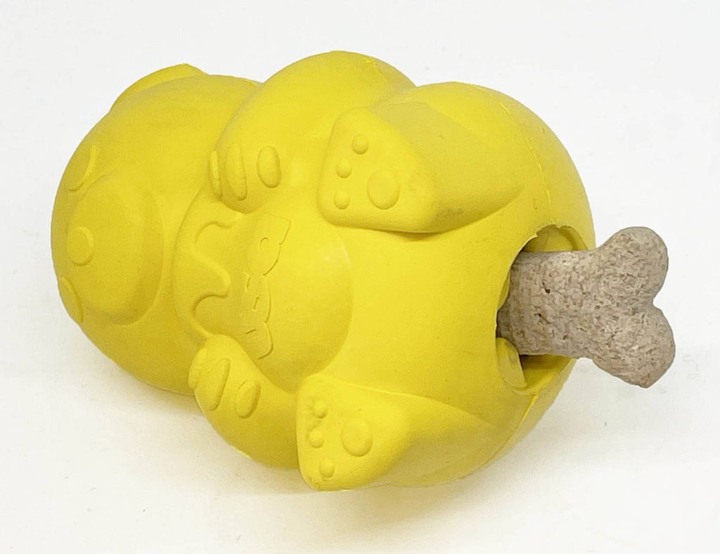 SodaPup Honey Bear eDispenser Rubber Treat Toy