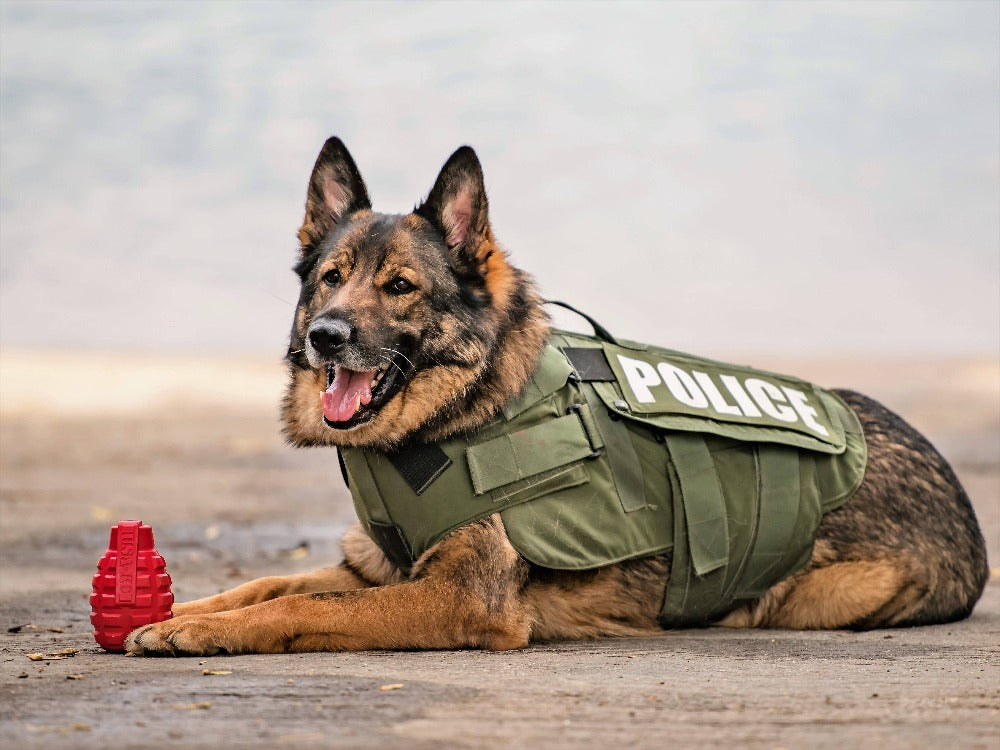 USA-K9 Grenade Rubber Reward and Tug Toy