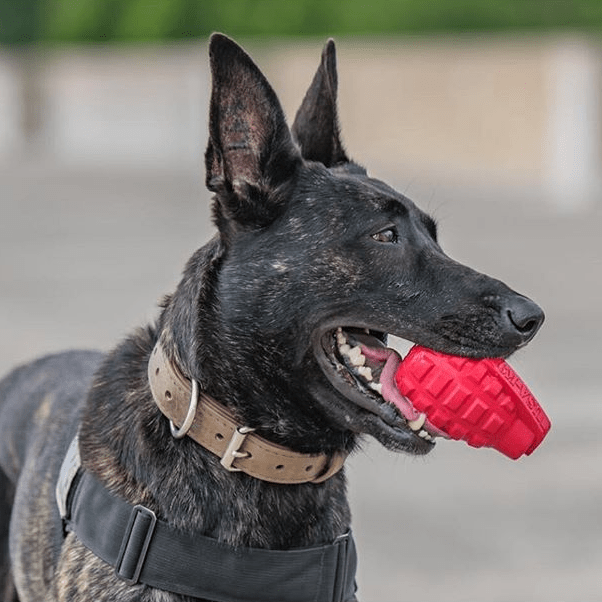 USA-K9 Grenade eDispenser Rubber Chew Toy, Magnum Black