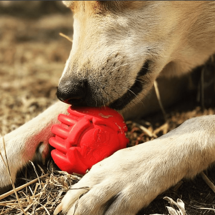 USA-K9 Stars and Stripes Rubber Reward Toy, Red