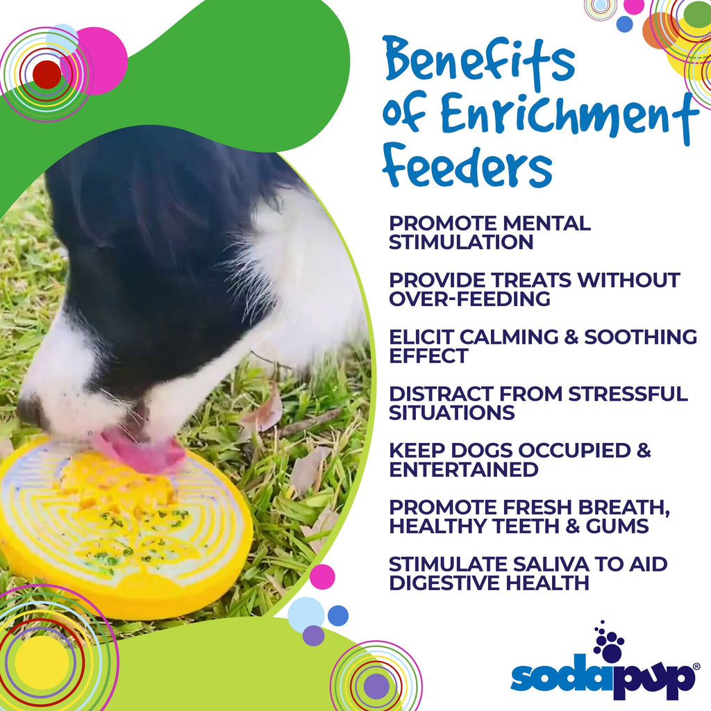 SodaPup Earth eCoin Nylon Lick Disc - FurrowpetstoreBowls, Feeding & EnrichmentSodaPup/True Dogs, LLC