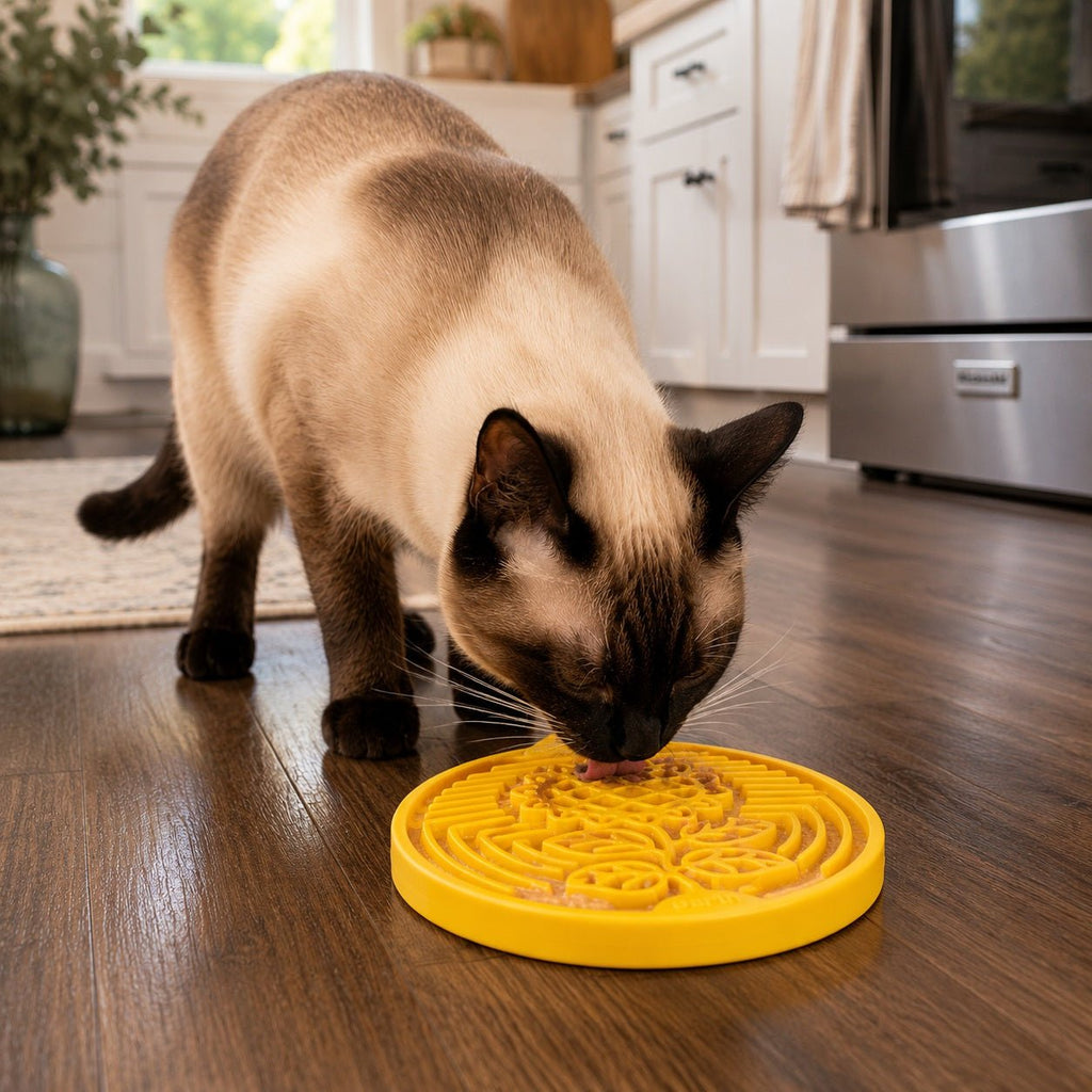 SodaPup Earth eCoin Nylon Lick Disc - FurrowpetstoreBowls, Feeding & EnrichmentSodaPup/True Dogs, LLC