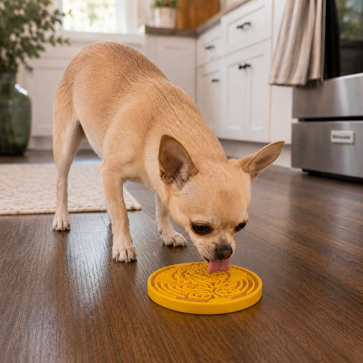 SodaPup Earth eCoin Nylon Lick Disc - FurrowpetstoreBowls, Feeding & EnrichmentSodaPup/True Dogs, LLC