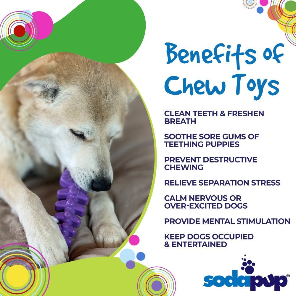 SodaPup Fish Bone Nylon Chew Toy - FurrowpetstoreToysSodaPup/True Dogs, LLC