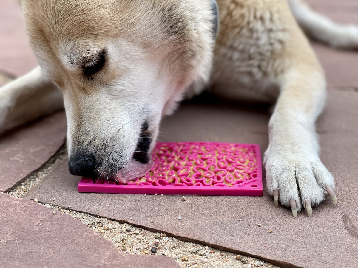 SodaPup Flower Power eMat Lick Mat - FurrowpetstoreBowls, Feeding & EnrichmentSodaPup/True Dogs, LLC