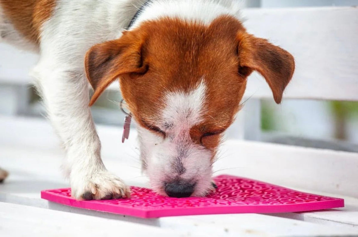 SodaPup Flower Power eMat Lick Mat - FurrowpetstoreBowls, Feeding & EnrichmentSodaPup/True Dogs, LLC