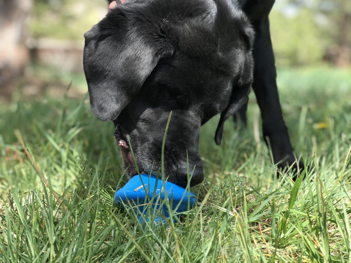 SodaPup Flying Saucer Treat Dispenser Toy - FurrowpetstoreBowls, Feeding & EnrichmentSodaPup/True Dogs, LLC