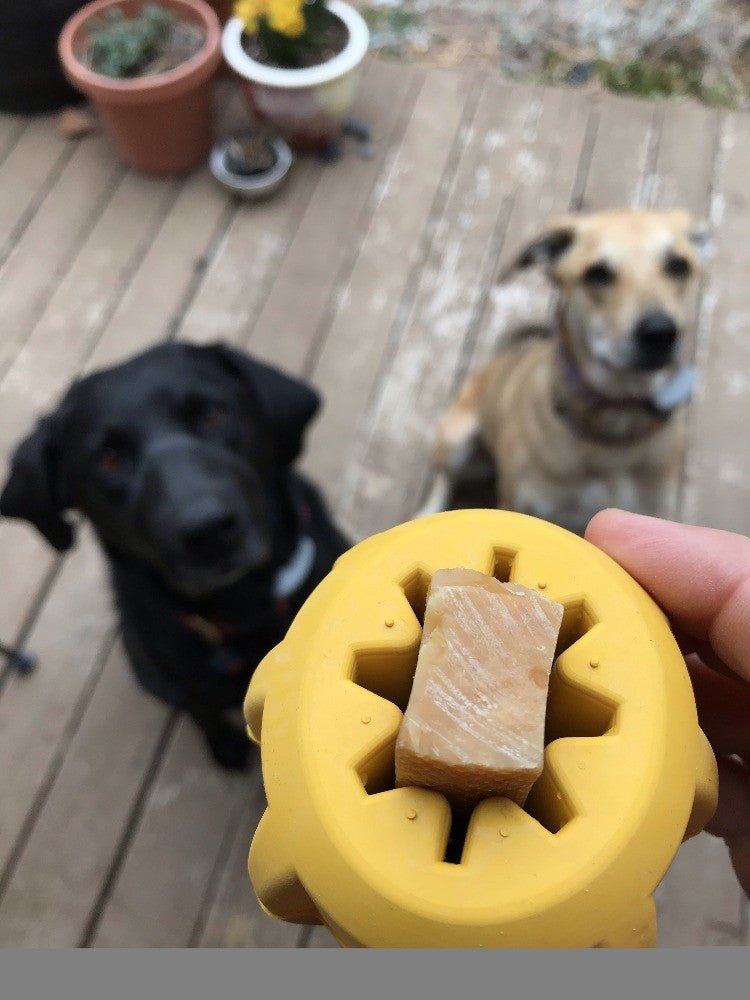 SodaPup Gear eDispenser Rubber Chew Holder - FurrowpetstoreBowls, Feeding & EnrichmentSodaPup/True Dogs, LLC