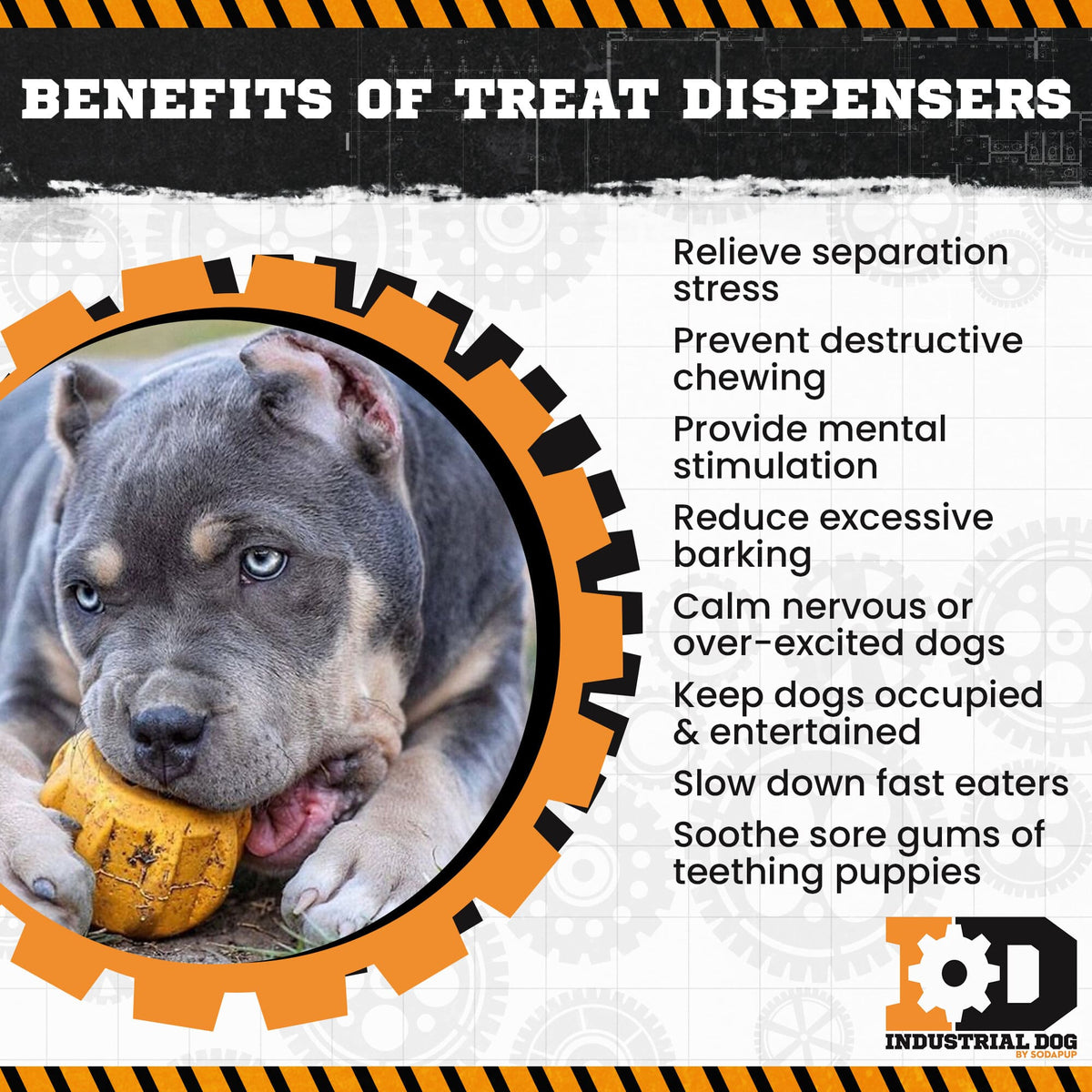 SodaPup Gear eDispenser Rubber Chew Holder - FurrowpetstoreBowls, Feeding & EnrichmentSodaPup/True Dogs, LLC