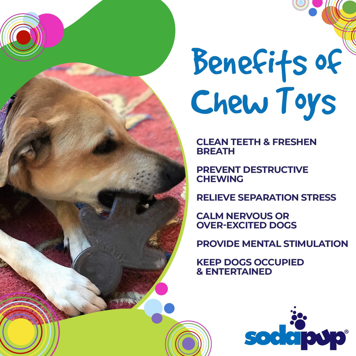 SodaPup Gingerbread Man Nylon Chew Toy - FurrowpetstoreToysSodaPup/True Dogs, LLC