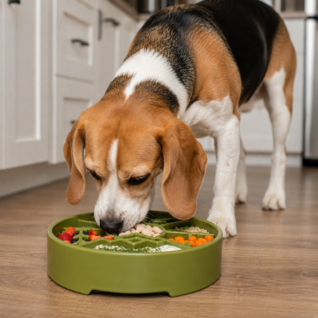 SodaPup Great Outdoors eBowl Slow Feeder - FurrowpetstoreBowls, Feeding & EnrichmentSodaPup/True Dogs, LLC