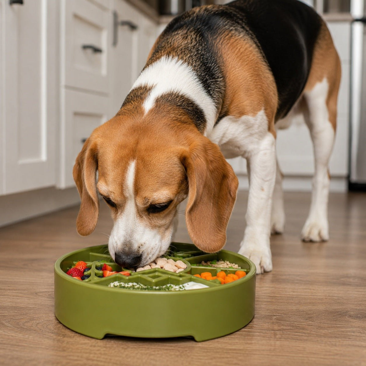 SodaPup Great Outdoors eBowl Slow Feeder - FurrowpetstoreBowls, Feeding & EnrichmentSodaPup/True Dogs, LLC