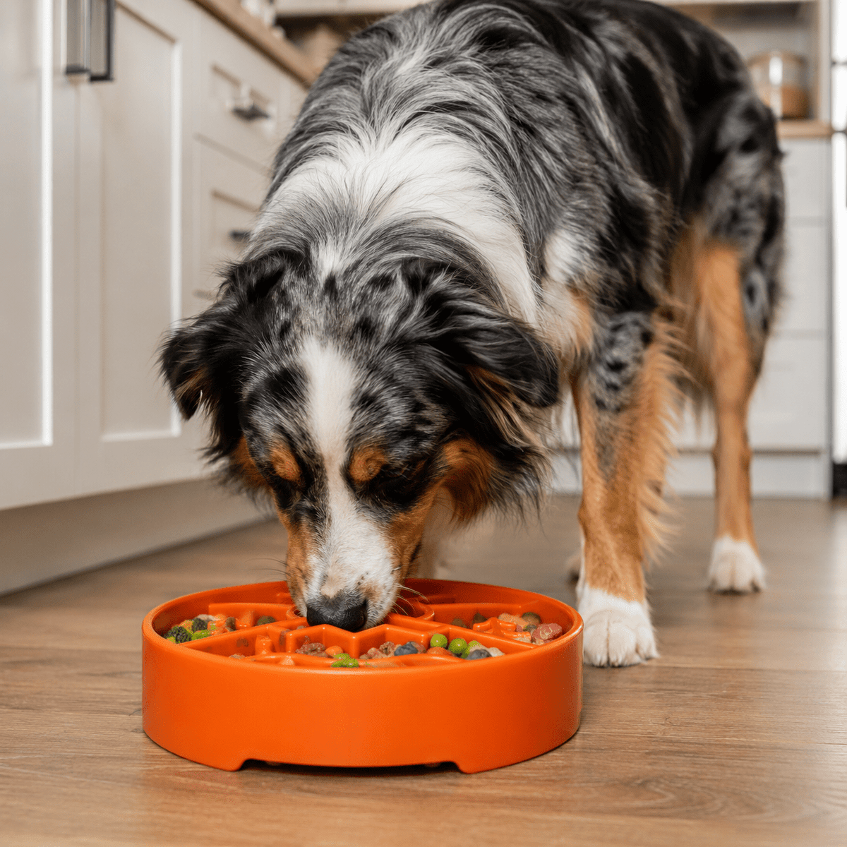 SodaPup Great Outdoors eBowl Slow Feeder - FurrowpetstoreBowls, Feeding & EnrichmentSodaPup/True Dogs, LLC