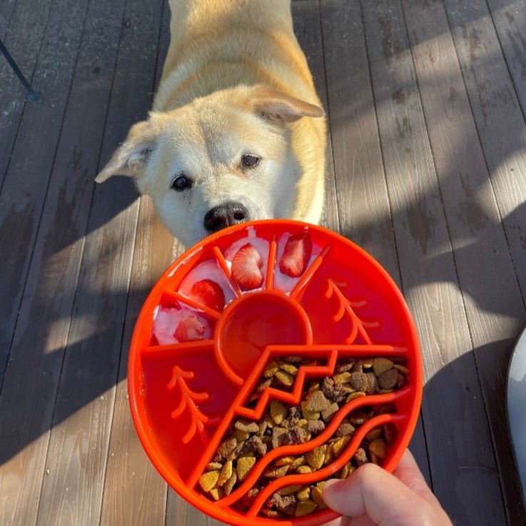 SodaPup Great Outdoors eBowl Slow Feeder - FurrowpetstoreBowls, Feeding & EnrichmentSodaPup/True Dogs, LLC