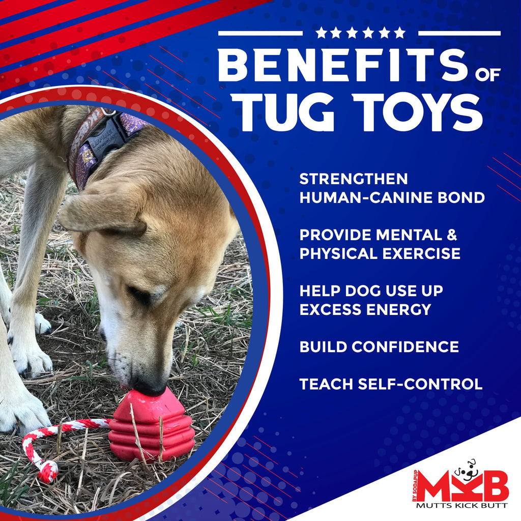 SodaPup Heart on a String Rubber Tug Toy - FurrowpetstoreToysSodaPup/True Dogs, LLC