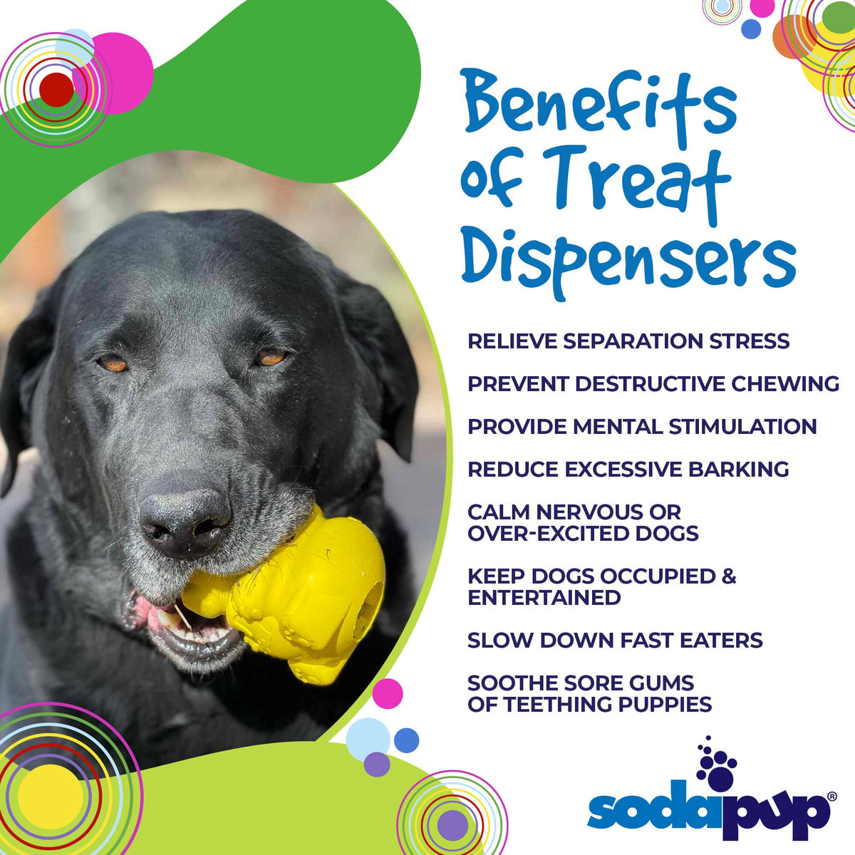 SodaPup Honey Bear eDispenser Rubber Treat Toy - FurrowpetstoreBowls, Feeding & EnrichmentSodaPup/True Dogs, LLC