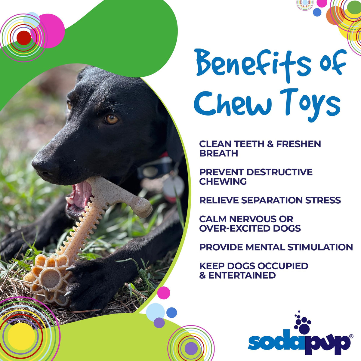 SodaPup Honey Bone Flower Tower Nylon Enrichment Toy, XL - FurrowpetstoreToysSodaPup/True Dogs, LLC