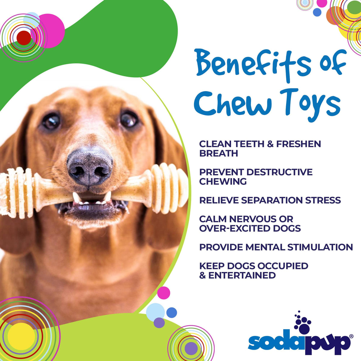 SodaPup Honey Bone Nylon Chew Toy - FurrowpetstoreToysSodaPup/True Dogs, LLC