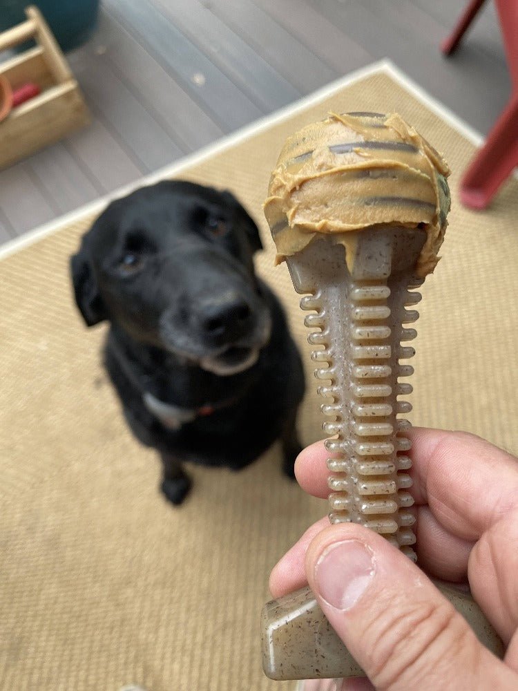 SodaPup Honey Bone Tower Nylon Chew Toy - FurrowpetstoreToysSodaPup/True Dogs, LLC