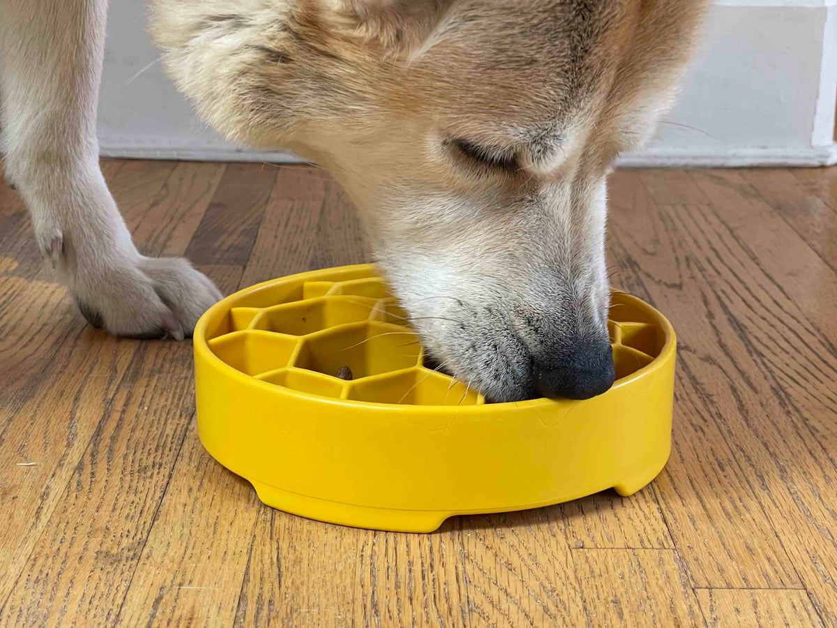 SodaPup Honeycomb eBowl Deep Slow Feeder - FurrowpetstoreBowls, Feeding & EnrichmentSodaPup/True Dogs, LLC