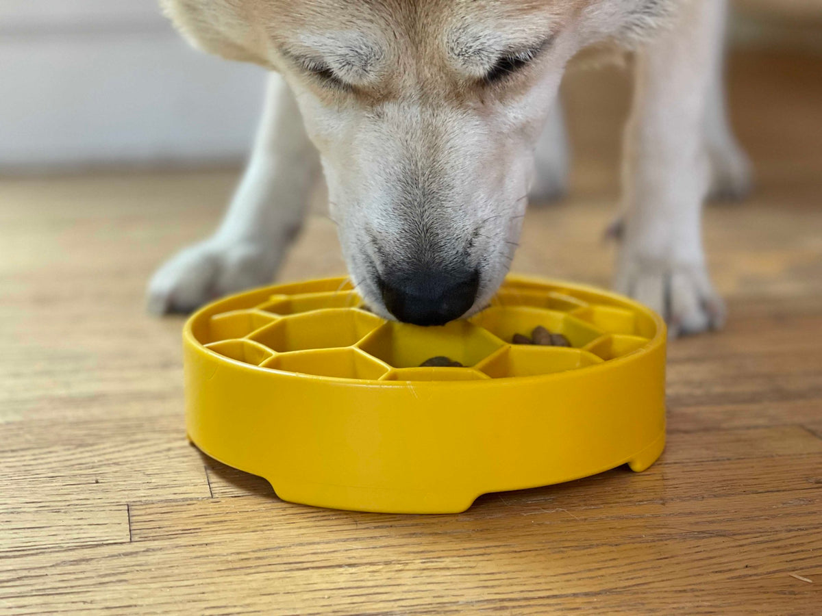 SodaPup Honeycomb eBowl Deep Slow Feeder - FurrowpetstoreBowls, Feeding & EnrichmentSodaPup/True Dogs, LLC